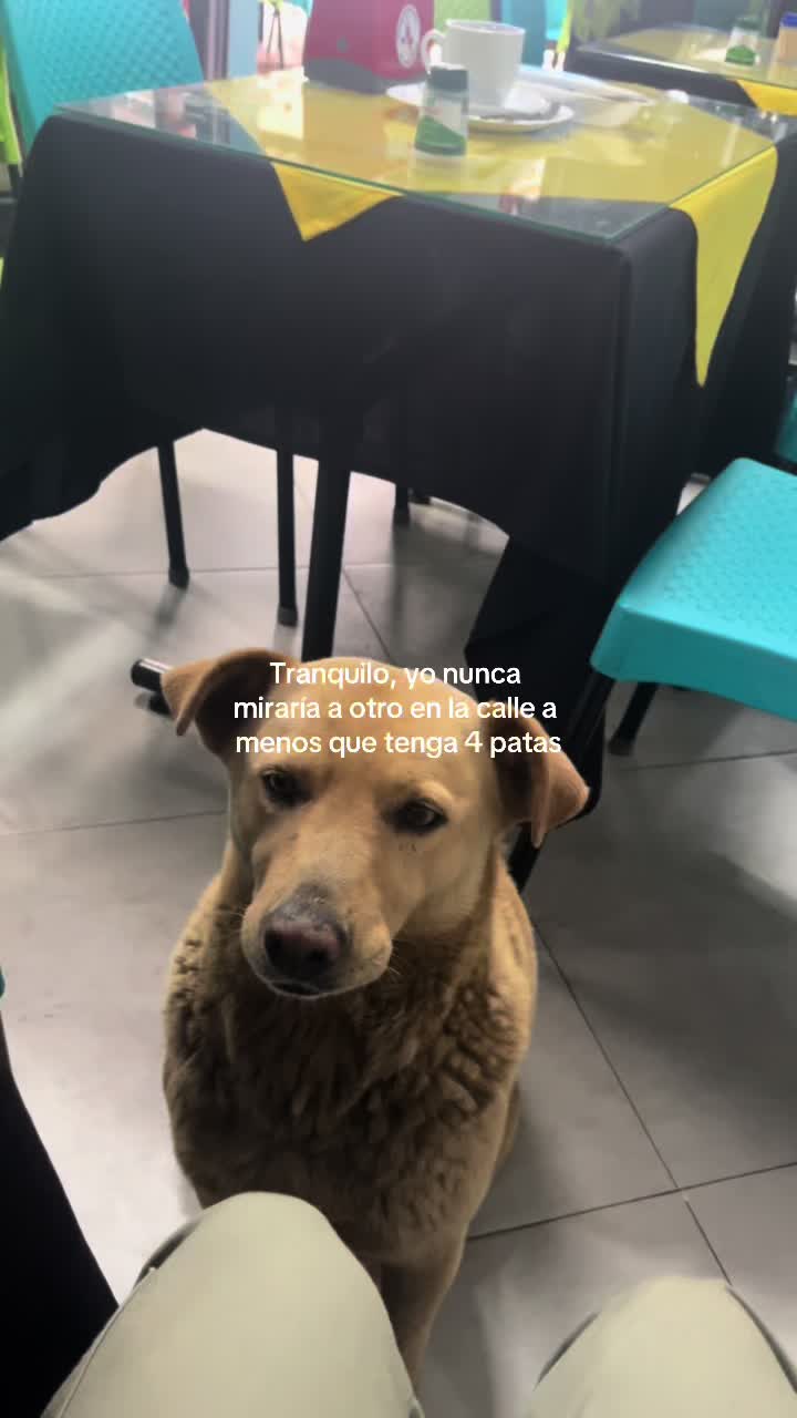 @cfgg.17