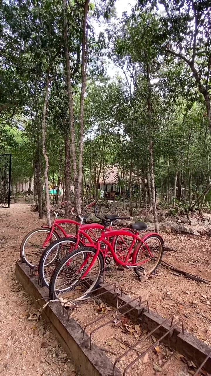 @Ciudad Cenote