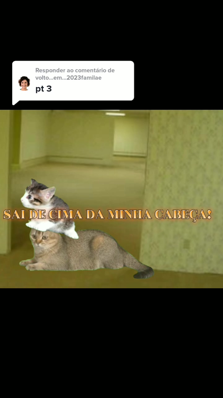@Ozzy o gato