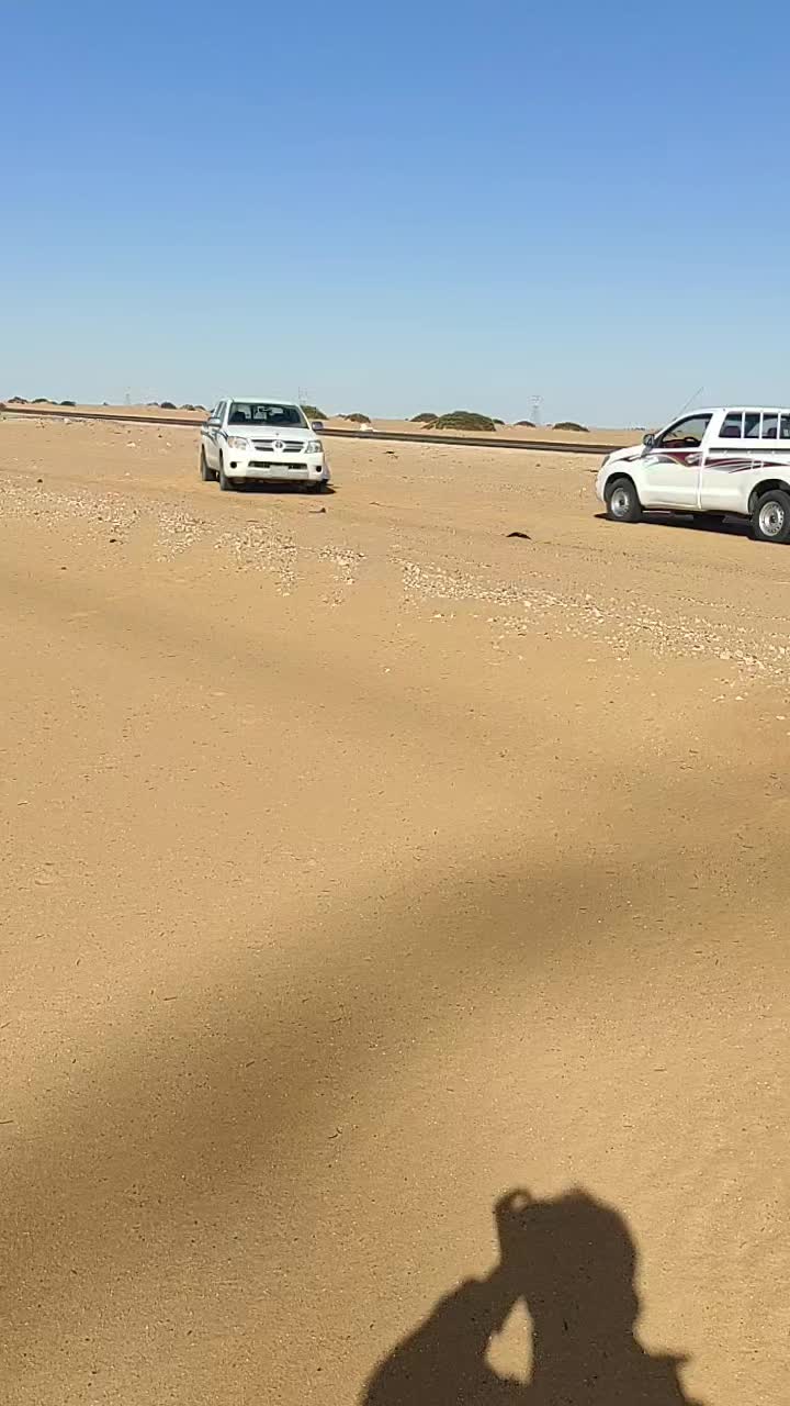 @ضعنا 🤪 يا 🤪جدي