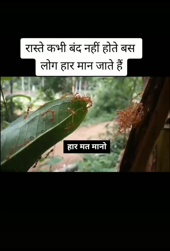 @Devendra