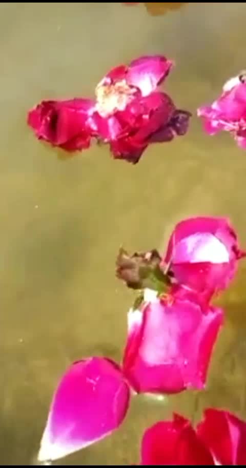 @Mihir Rajput 1807