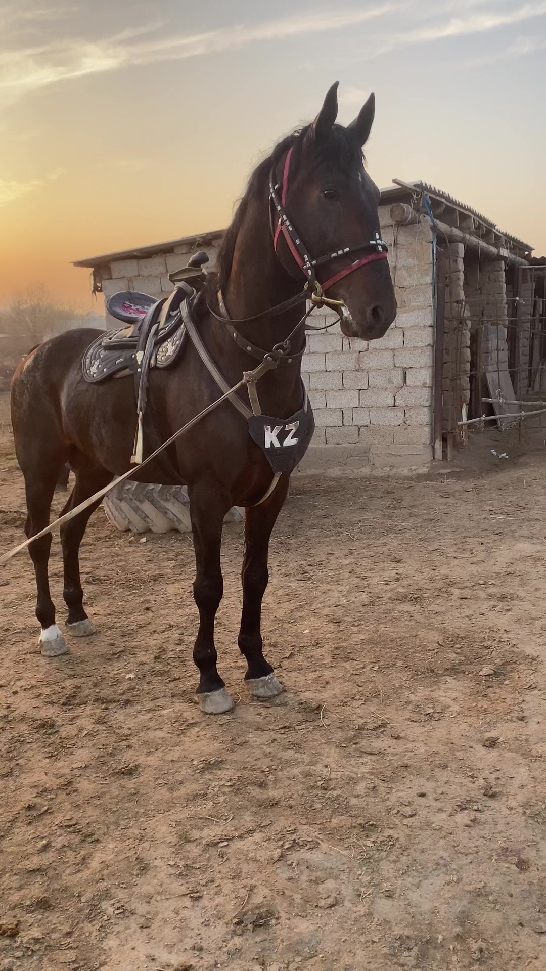 @Сакура