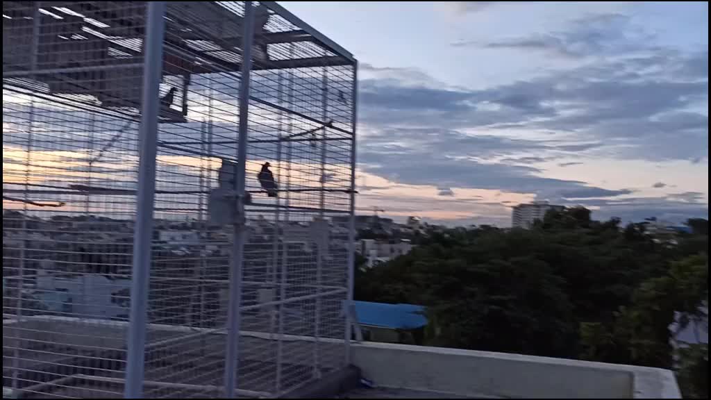 @Yeshwanth