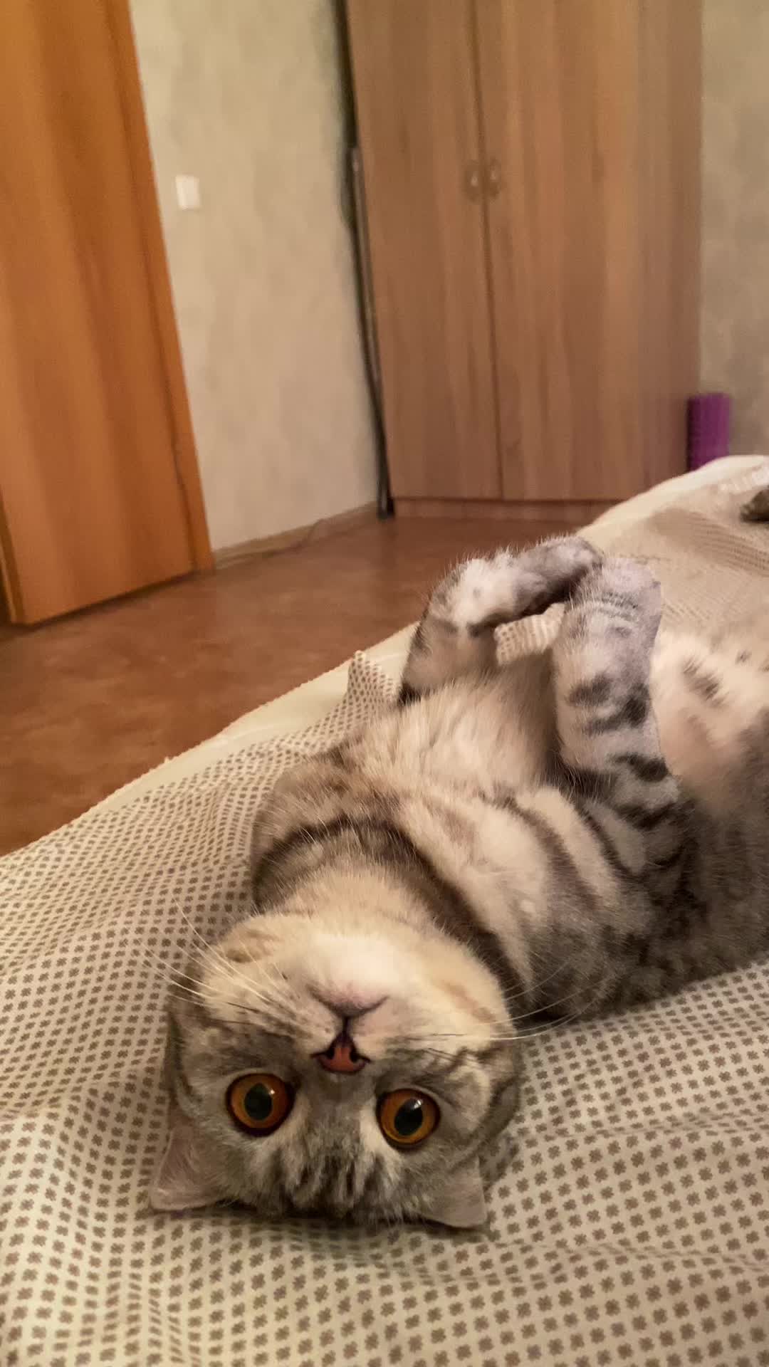 @Виктория Керн