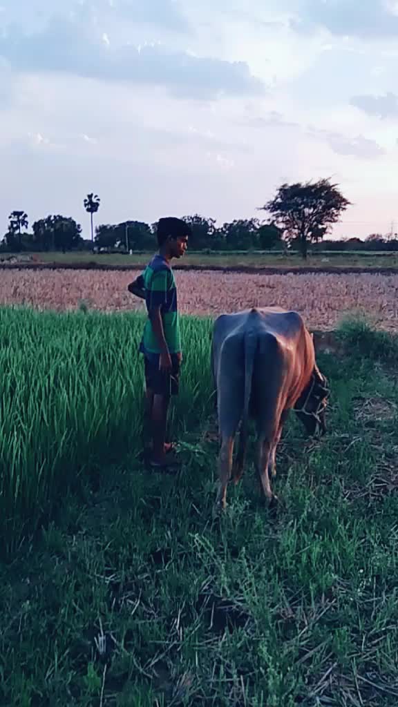 @Balu Yadav