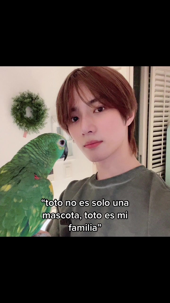 @milanesa