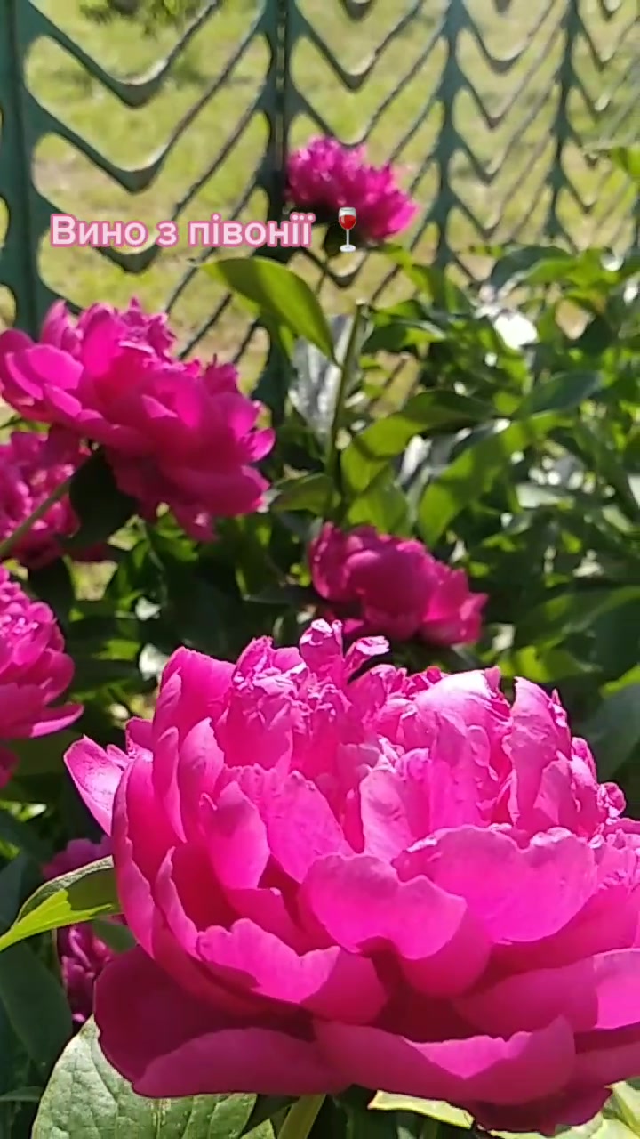 @☀️Сей Хей☀️