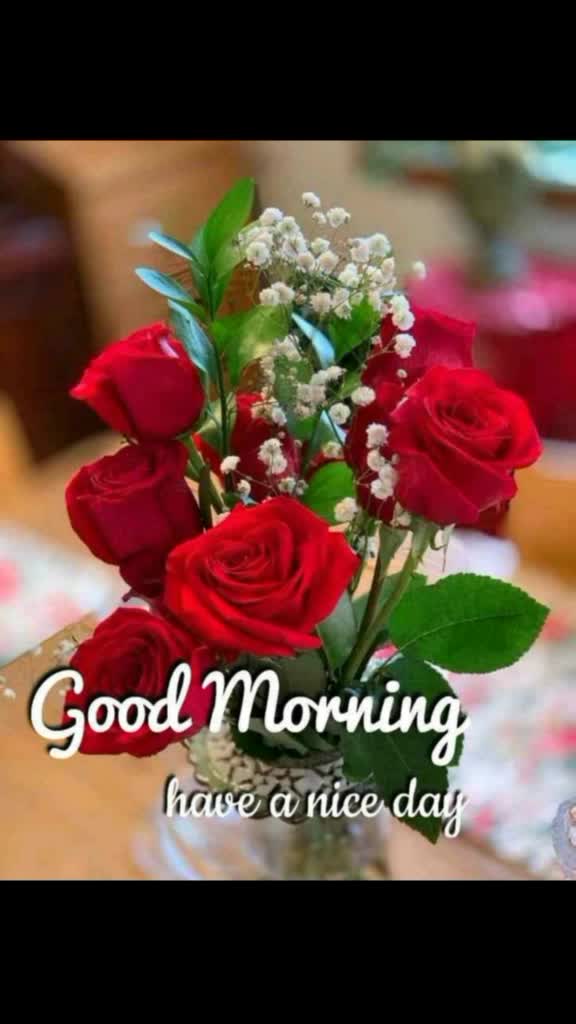 @divyan boss