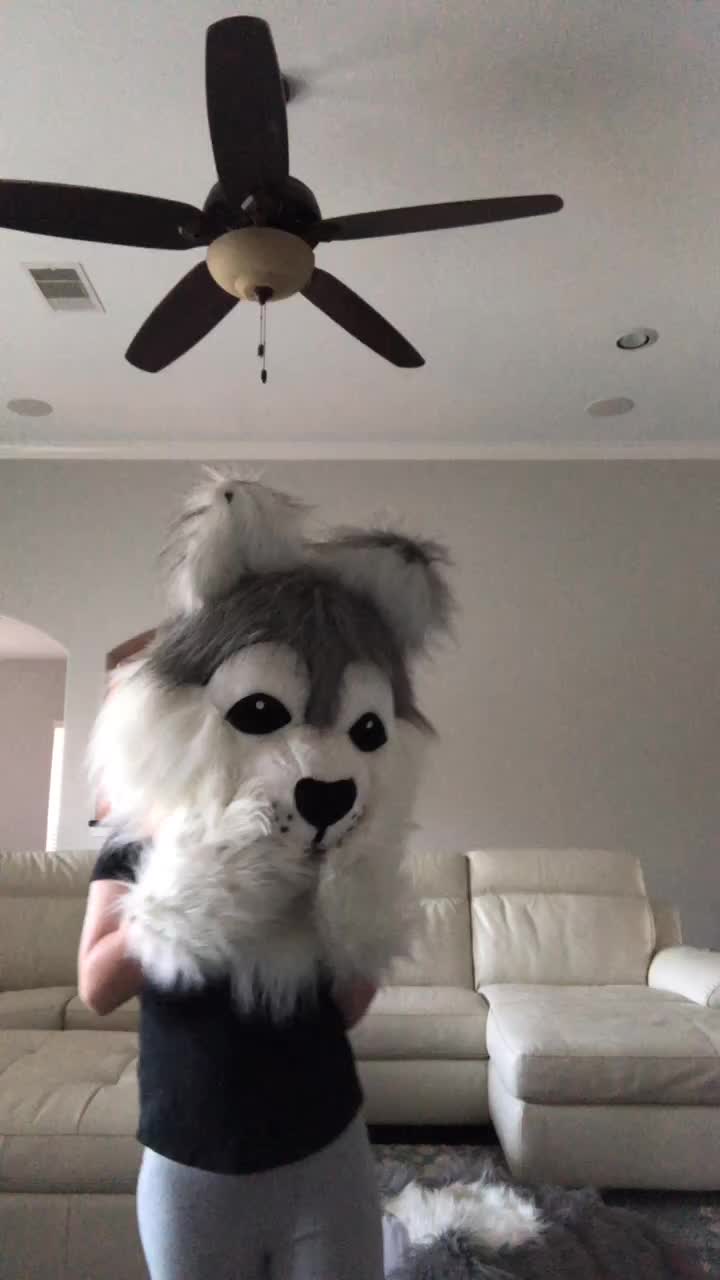 @fursuitwolf111