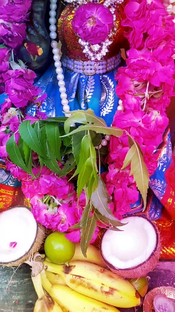 @Kalees Narayanan