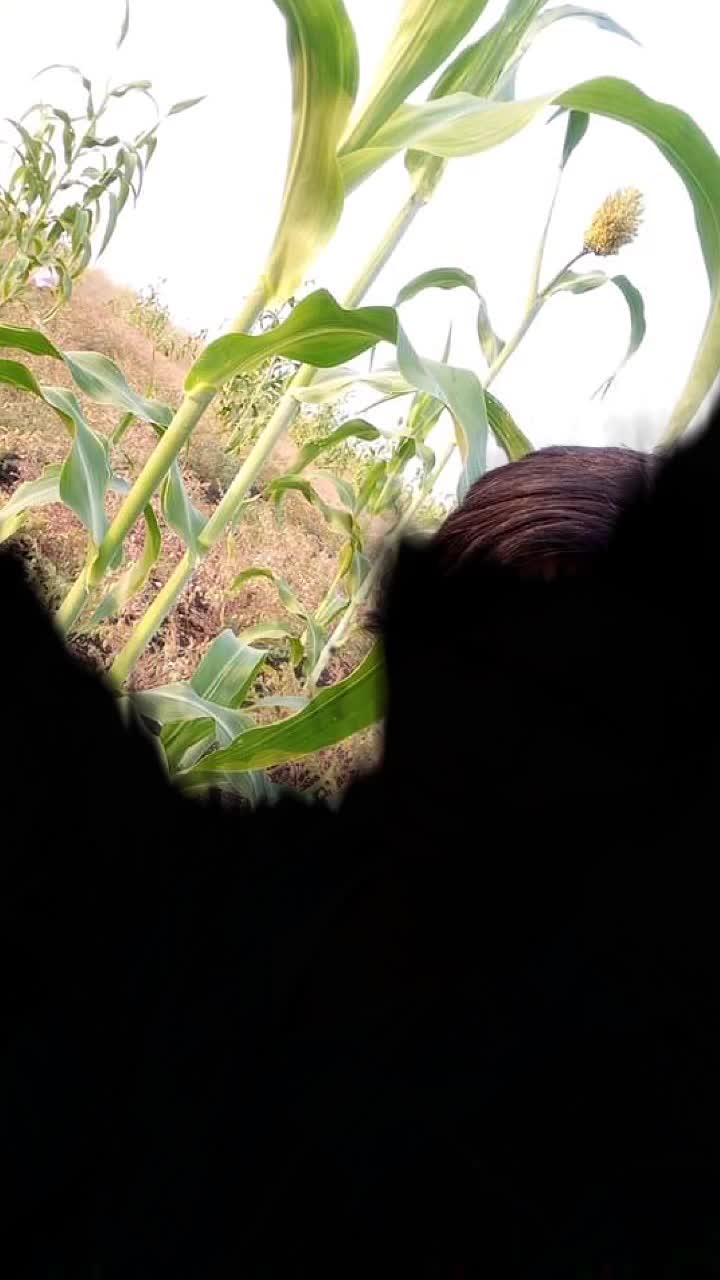 @PraveenChinna31