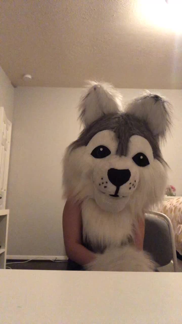 @fursuitwolf111