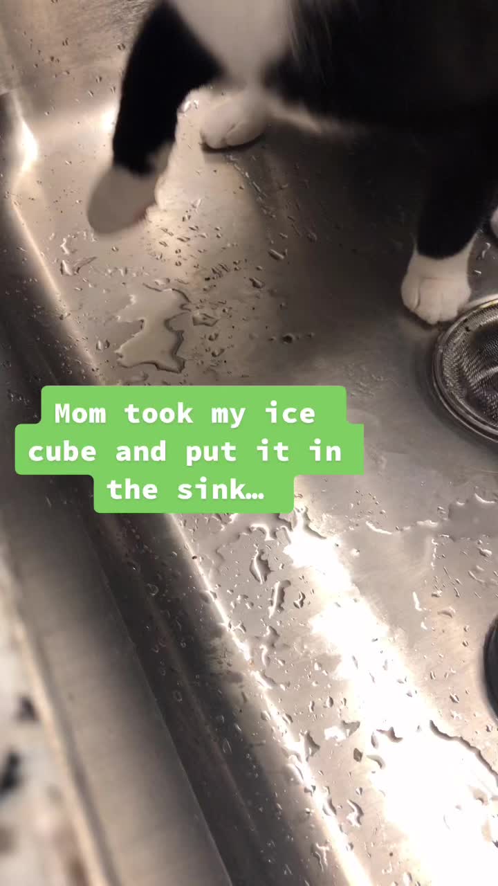 @PocketPastry