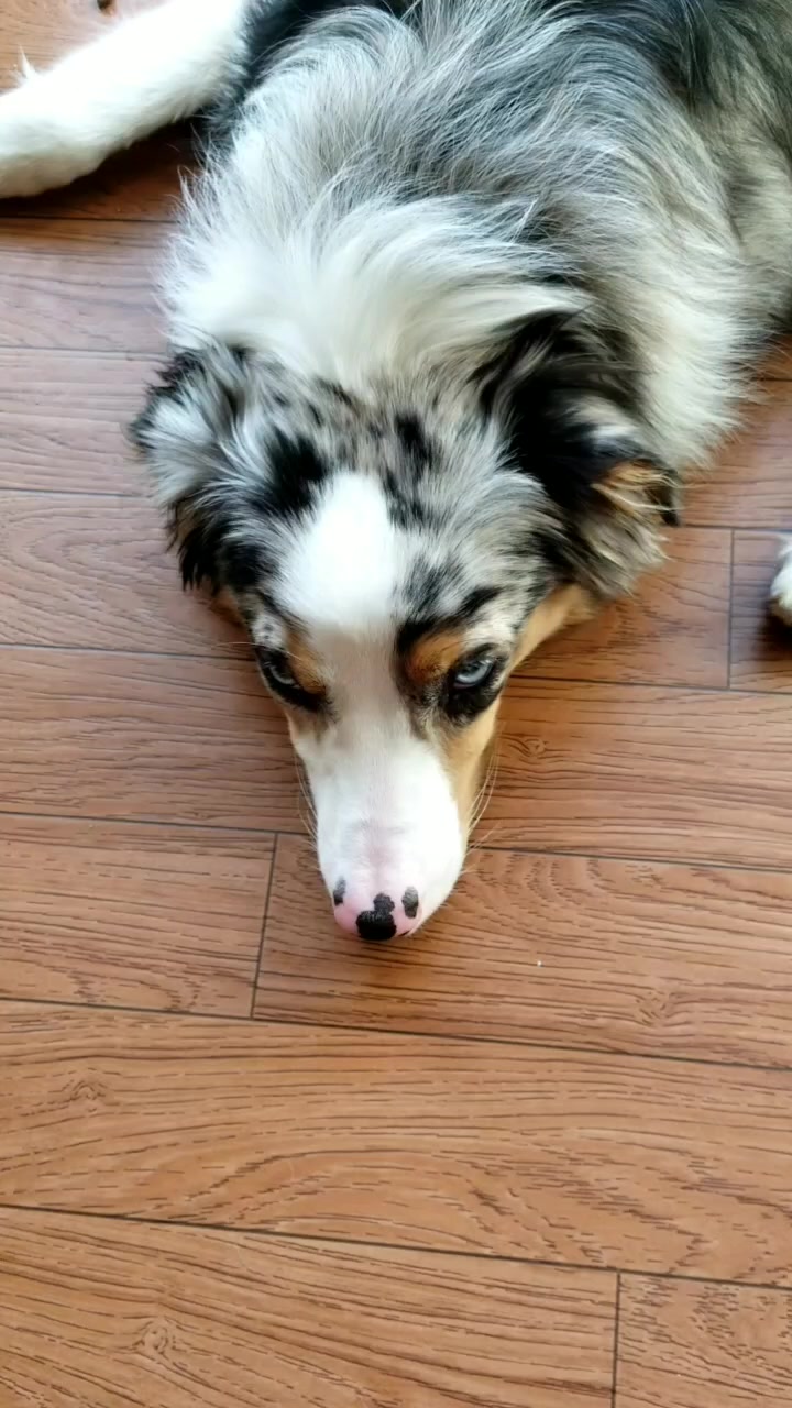 @Jett The Aussie