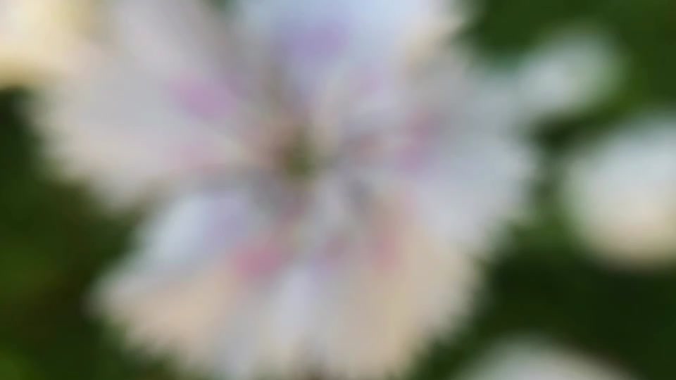 @♡