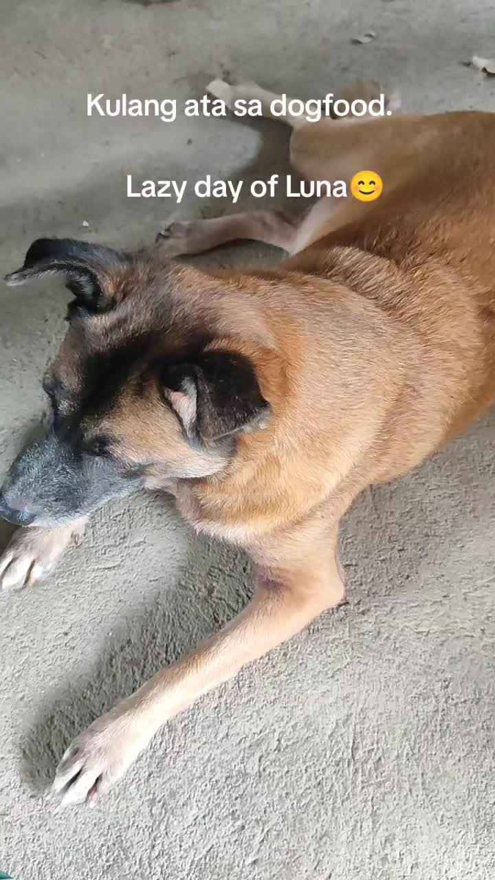 @Furmama