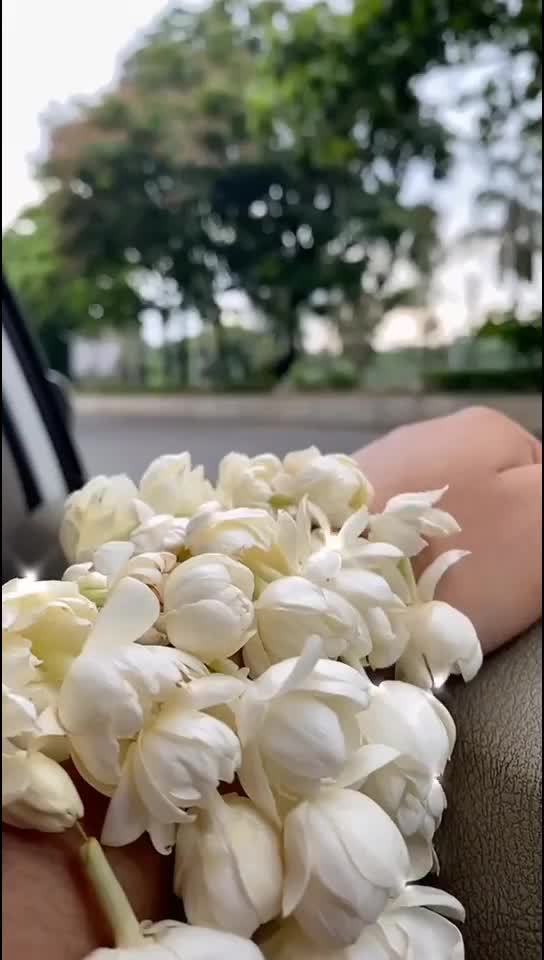 @Oishee