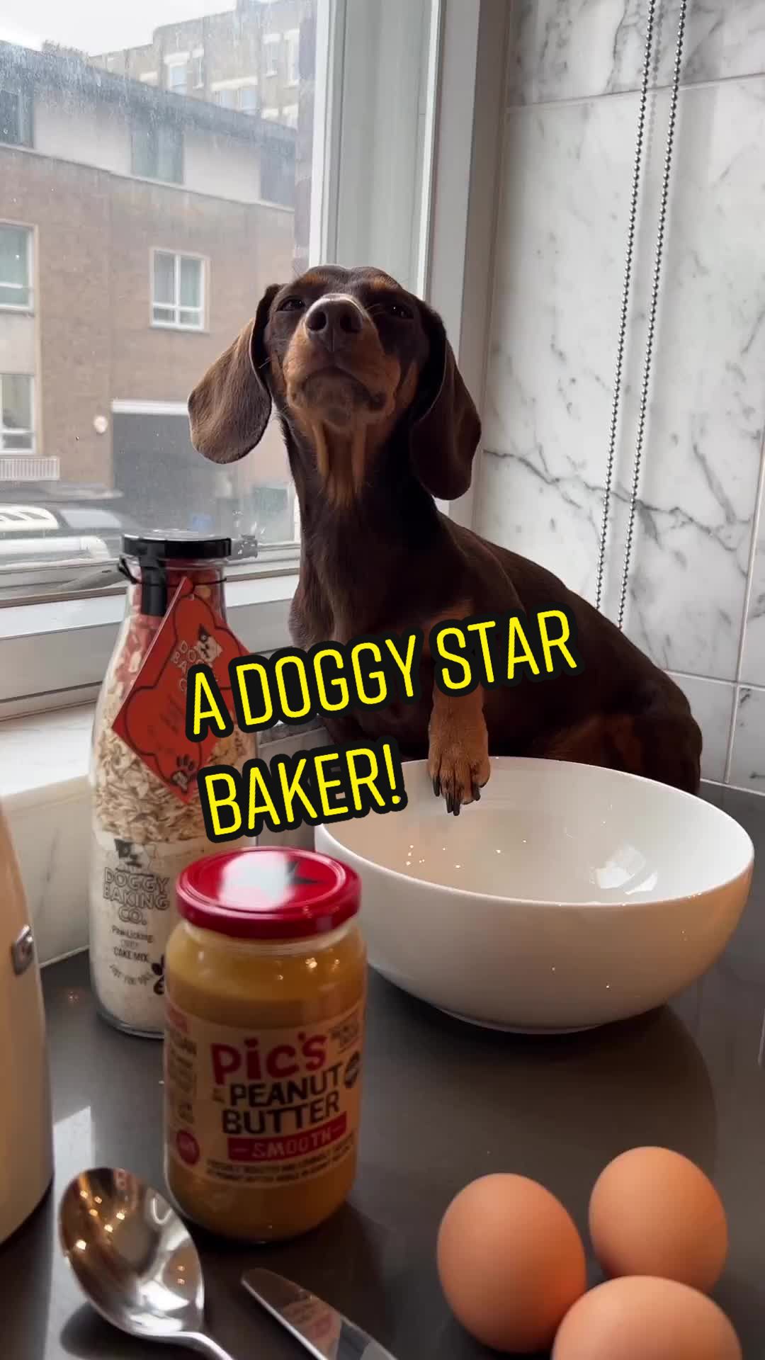 @The Doggy Baking Co