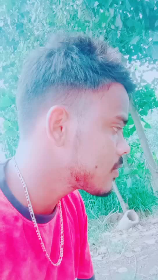 @anil royal chamar