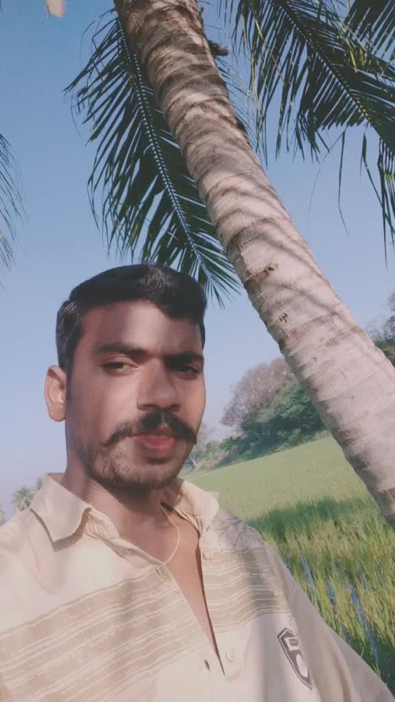 @user762505