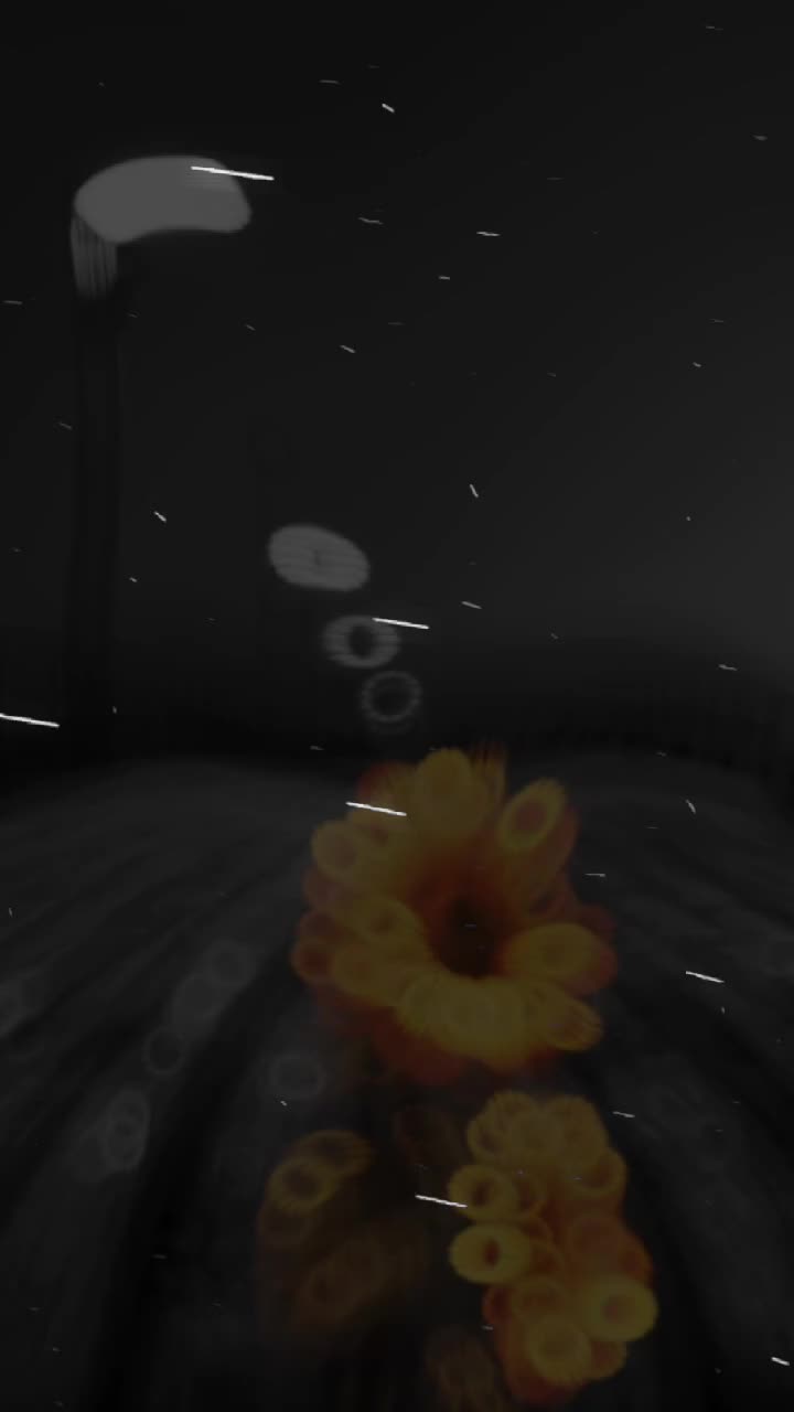 @🦋𝓚𝓮𝓵𝓮𝓫𝓮𝓴𝓶𝓲𝓼𝓪𝓵𝓲