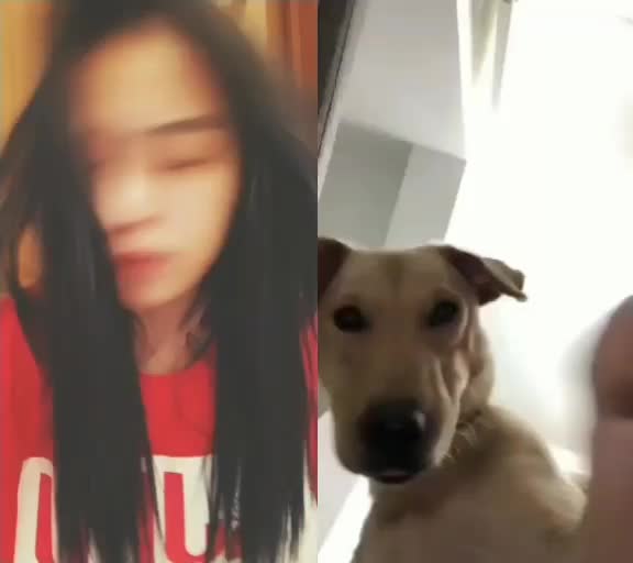 @IXujin