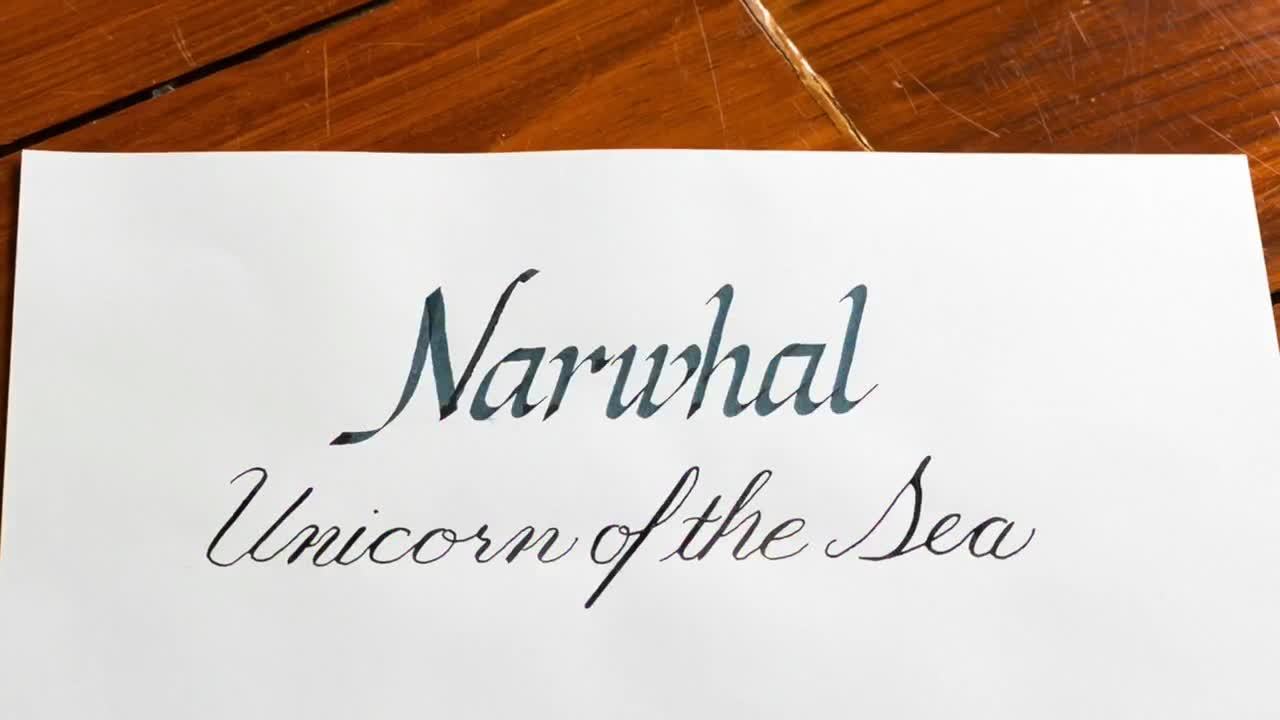 @The Fancy Letters