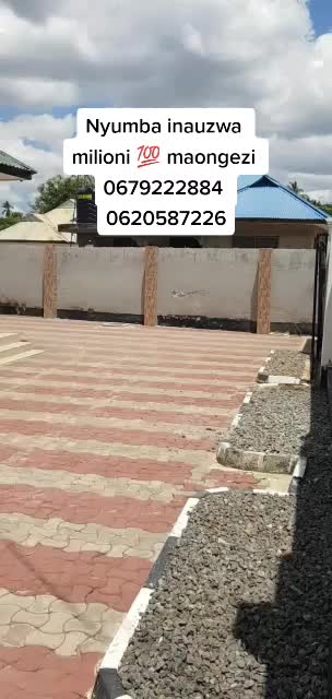 @Dalali mpemba