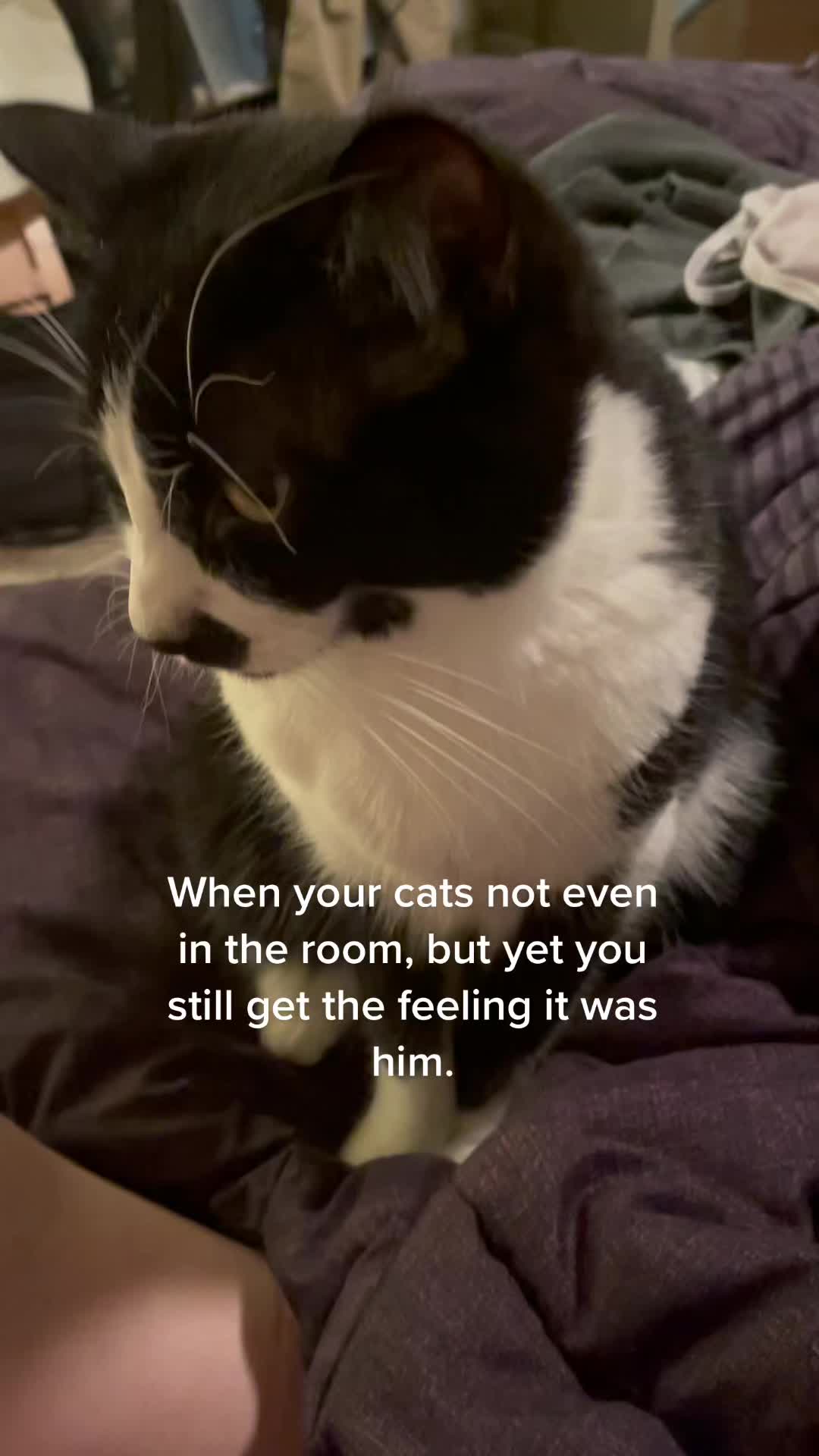 @Raja and Floof