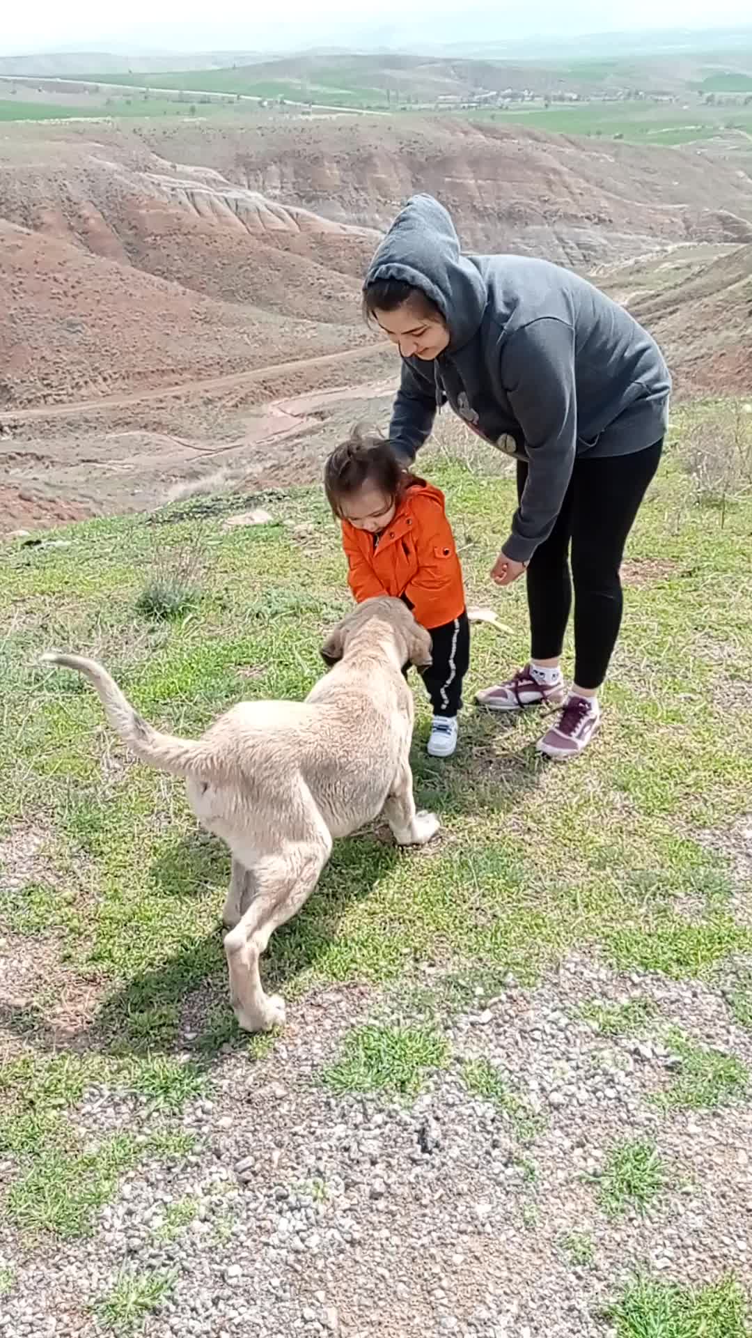 @Hello Bozkır
