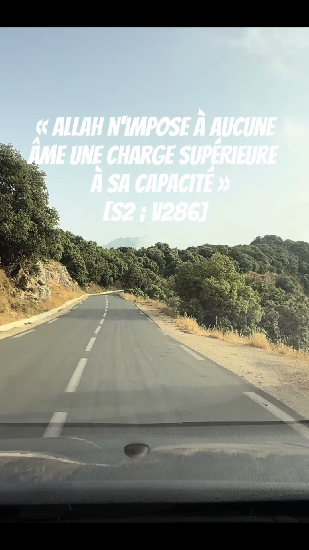 @Le CherBou🇩🇿ⵣ
