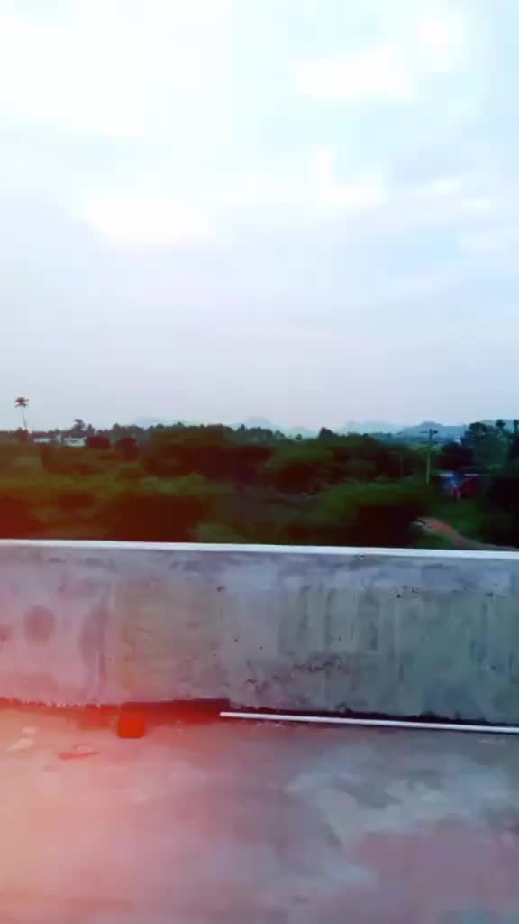 @kedi billa keladi ra
