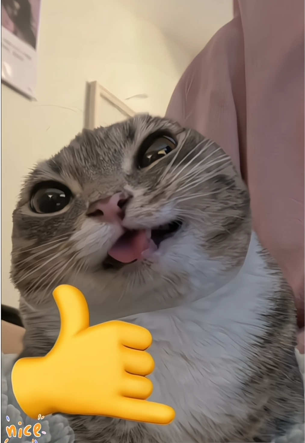 @hai