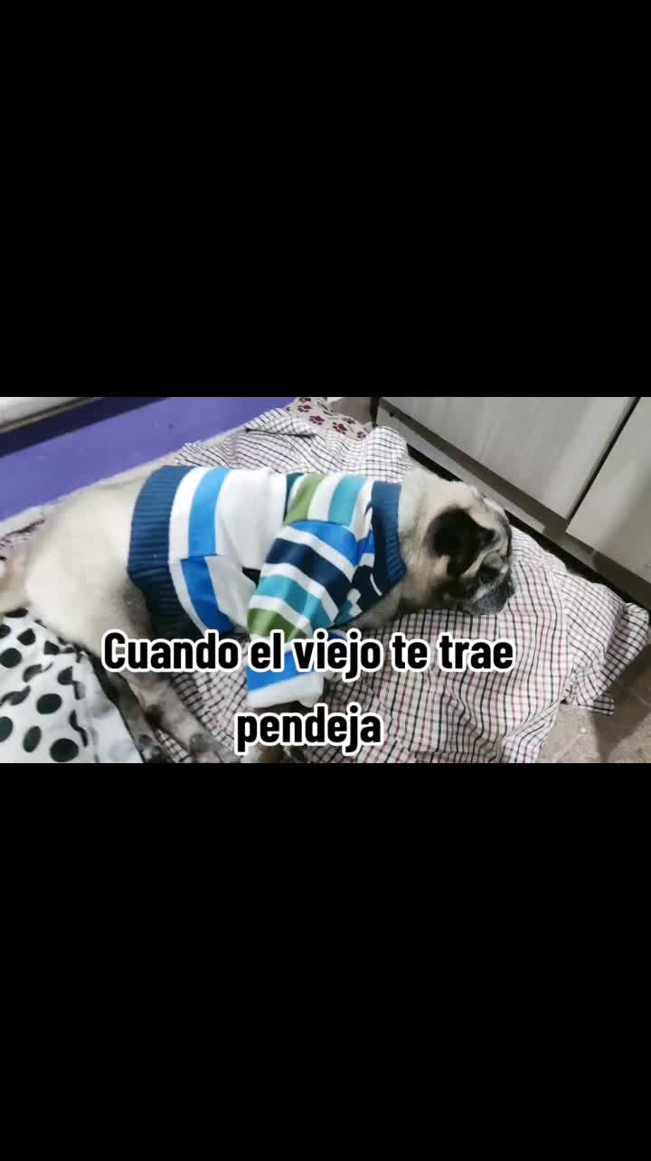@Luz Duran❤
