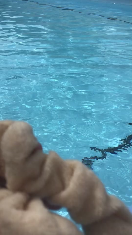 @Slow mo s🥺