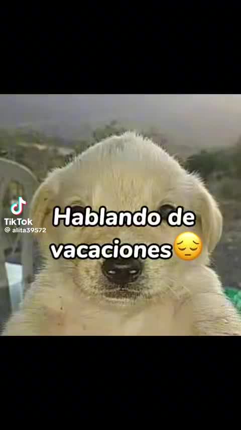 @neri Mia