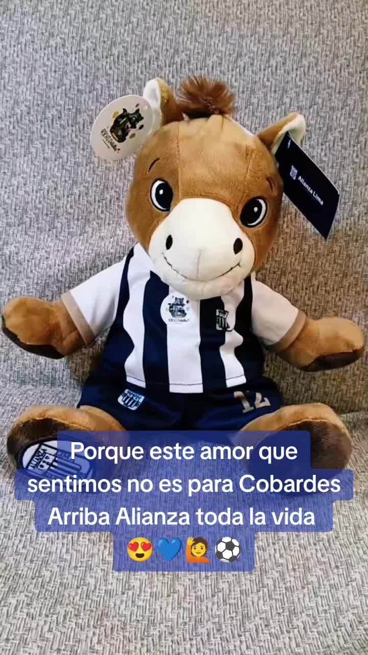 @Richi Detalles