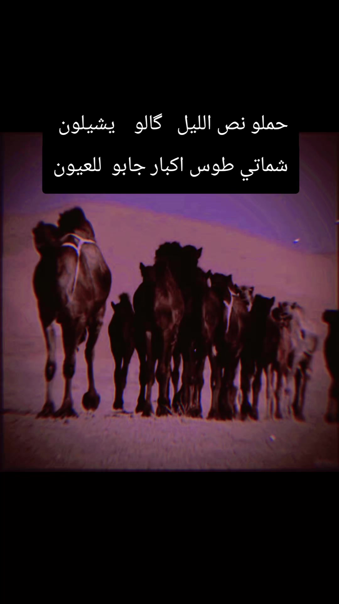 @يغثني الفراگ
