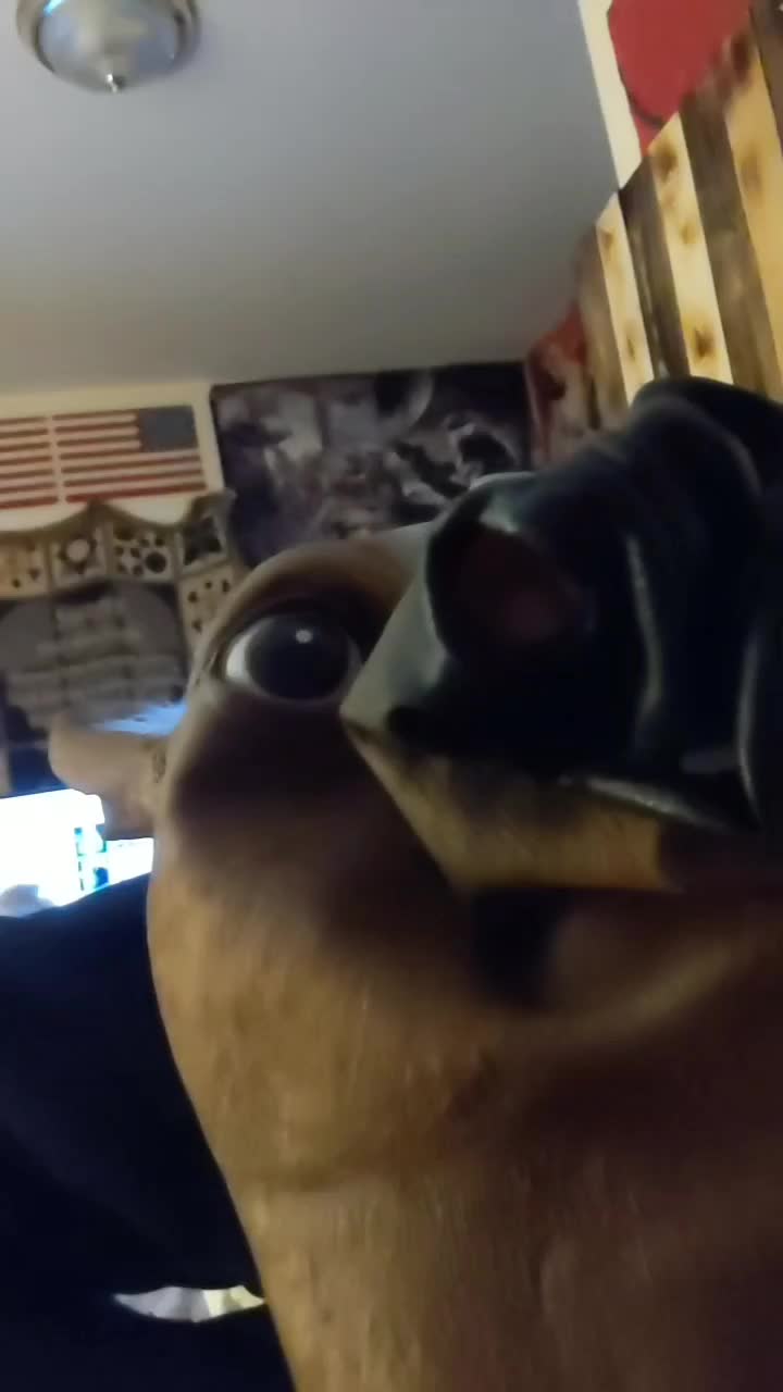@bicboi