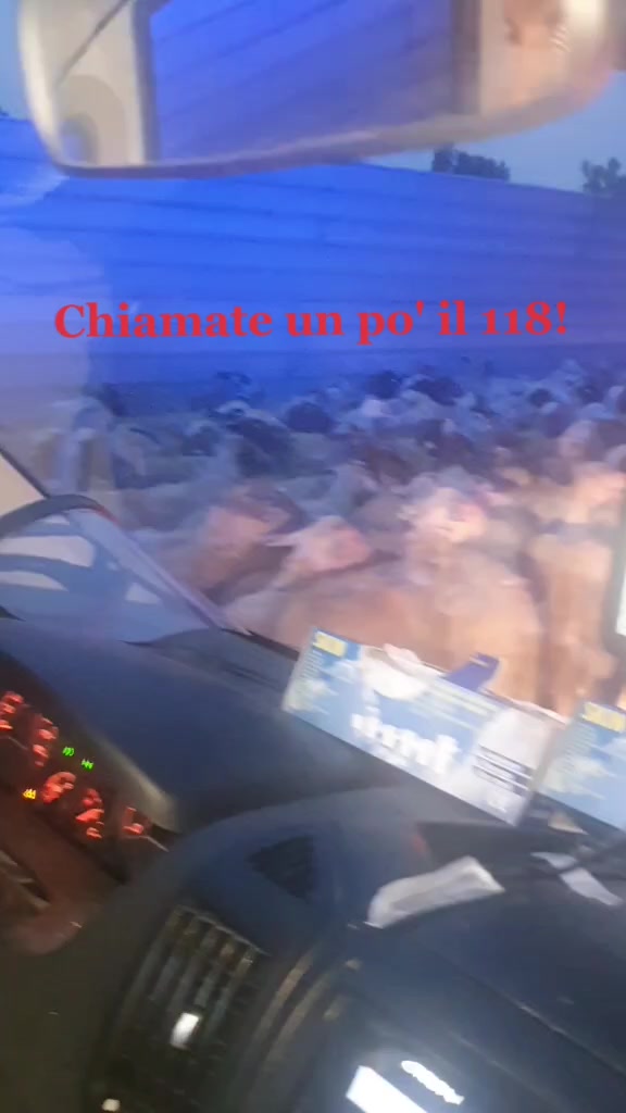 @Clemy Gaudino