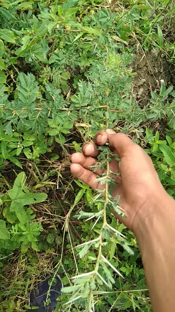 @Ajju jadhav