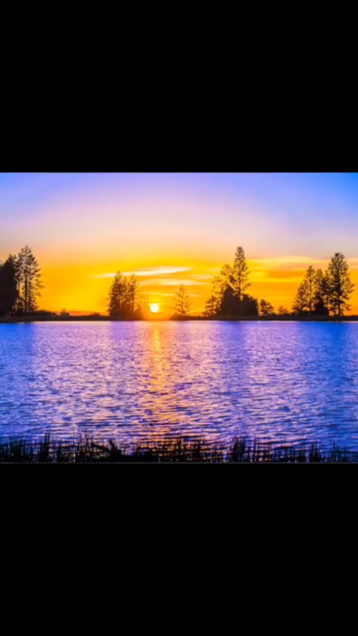 @user209444