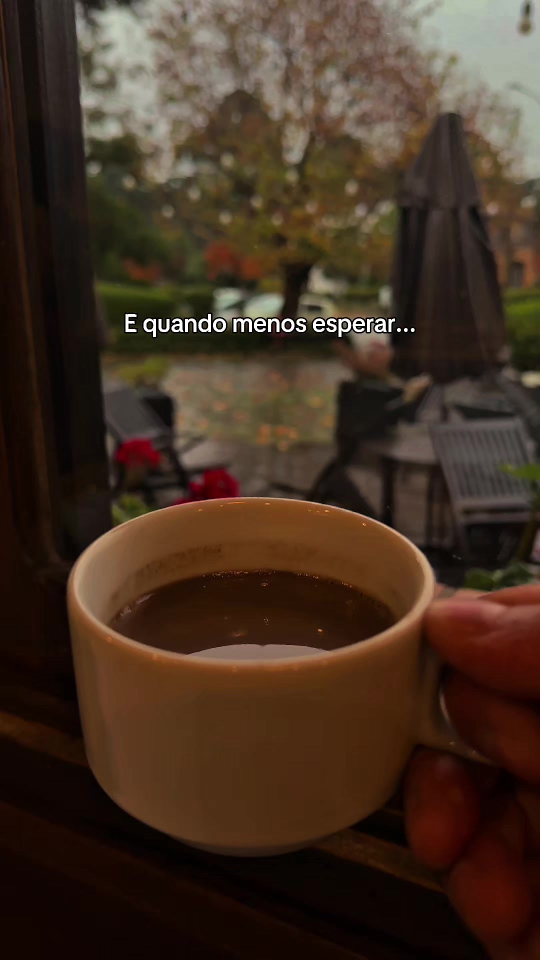 @Laçador de Ofertas