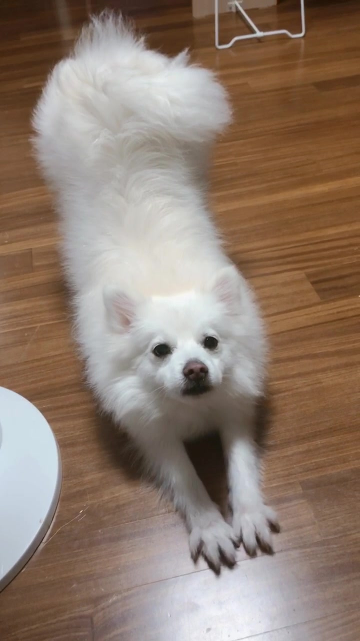 @์๋ Schnee