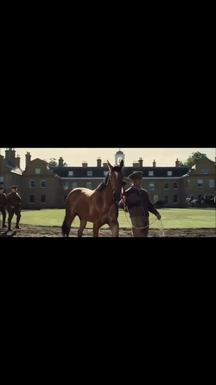 @🖇horses🖇