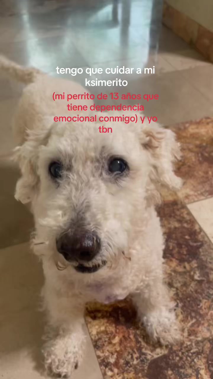 @Sofía Gordillo