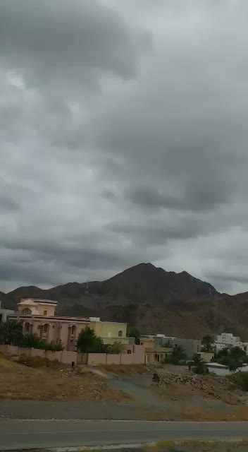 @shani4864