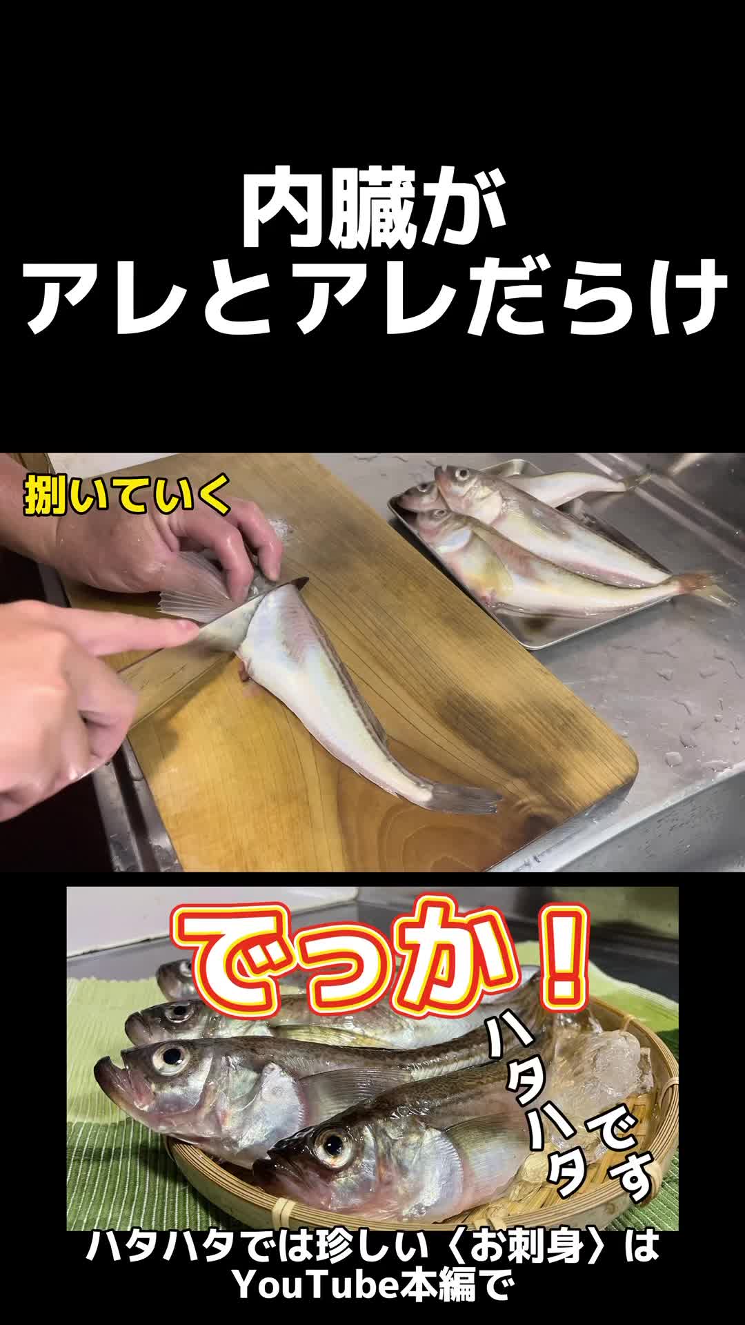@俺たまご。