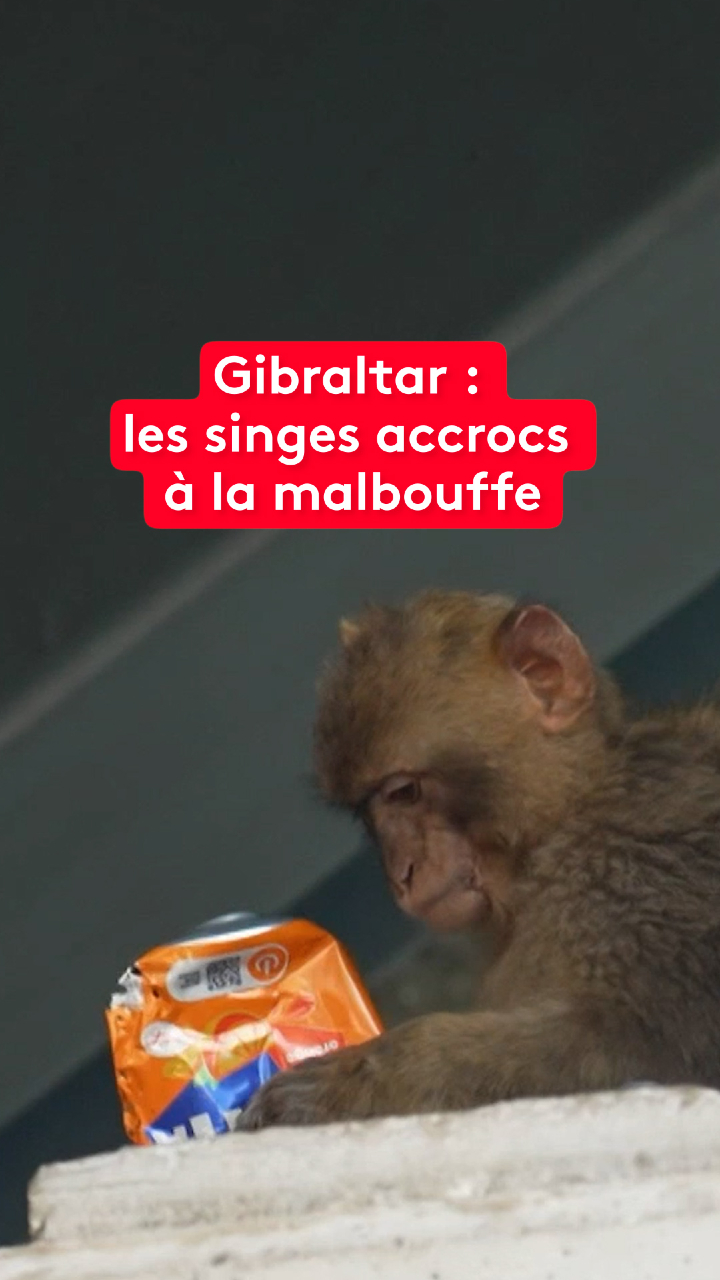 @le20hfrancetelevisions